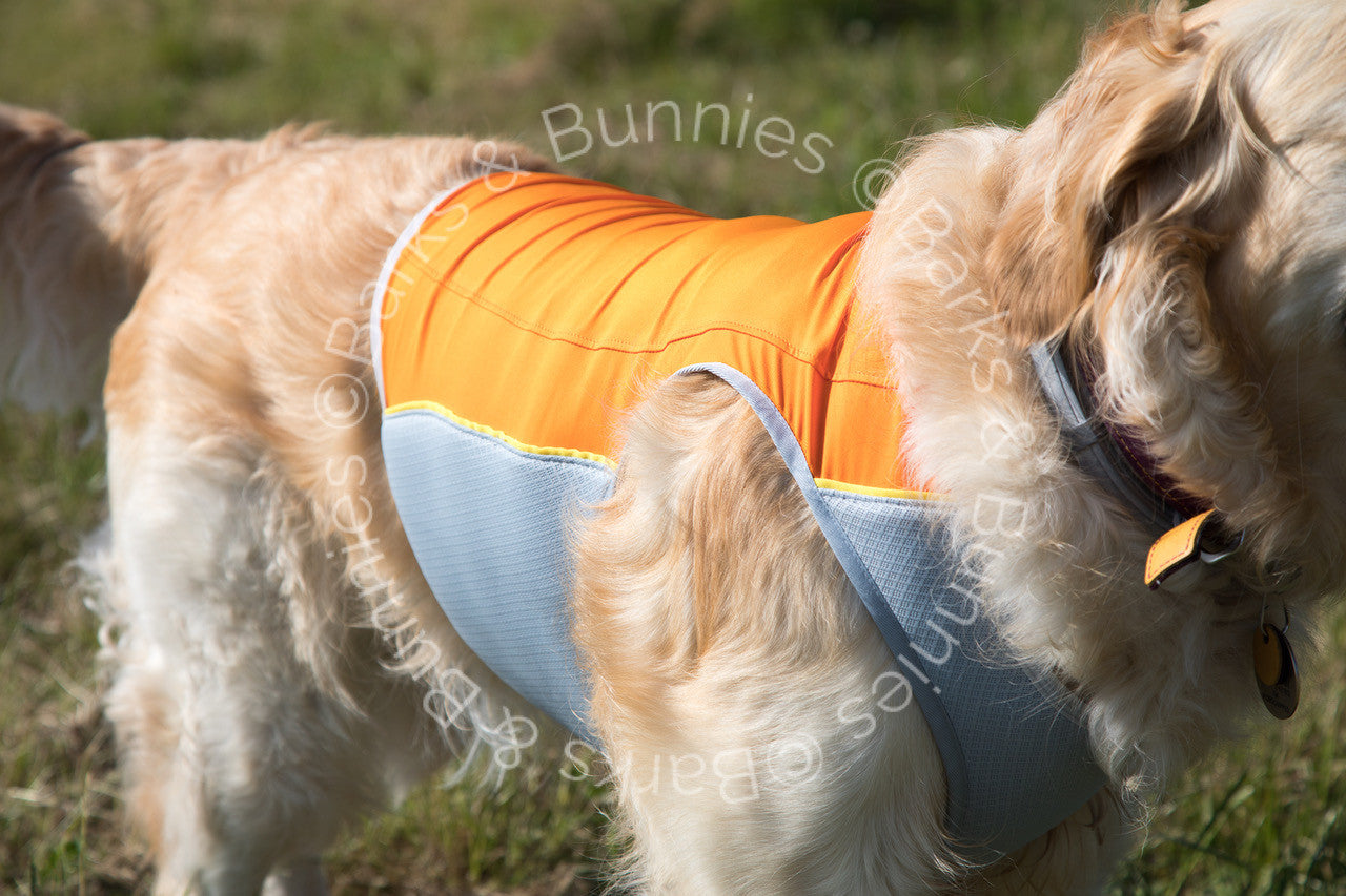 Ruffwear Jet Stream Cooling Vest Review