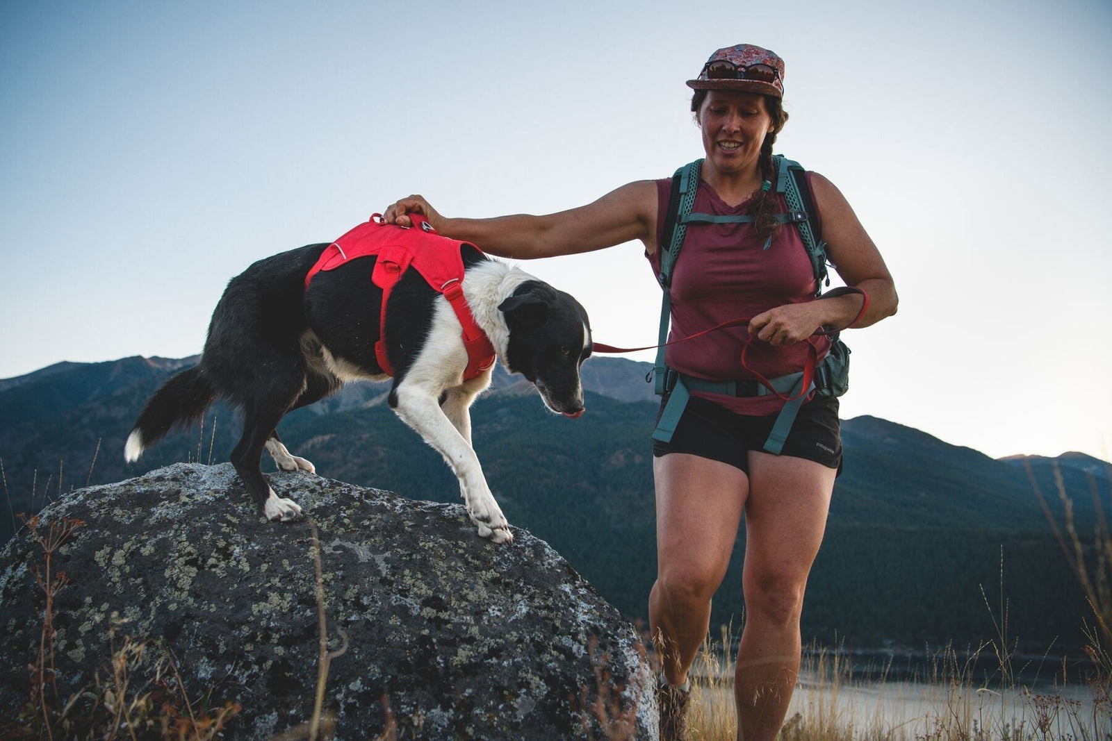Ruffwear Web Master Dog Harness Review