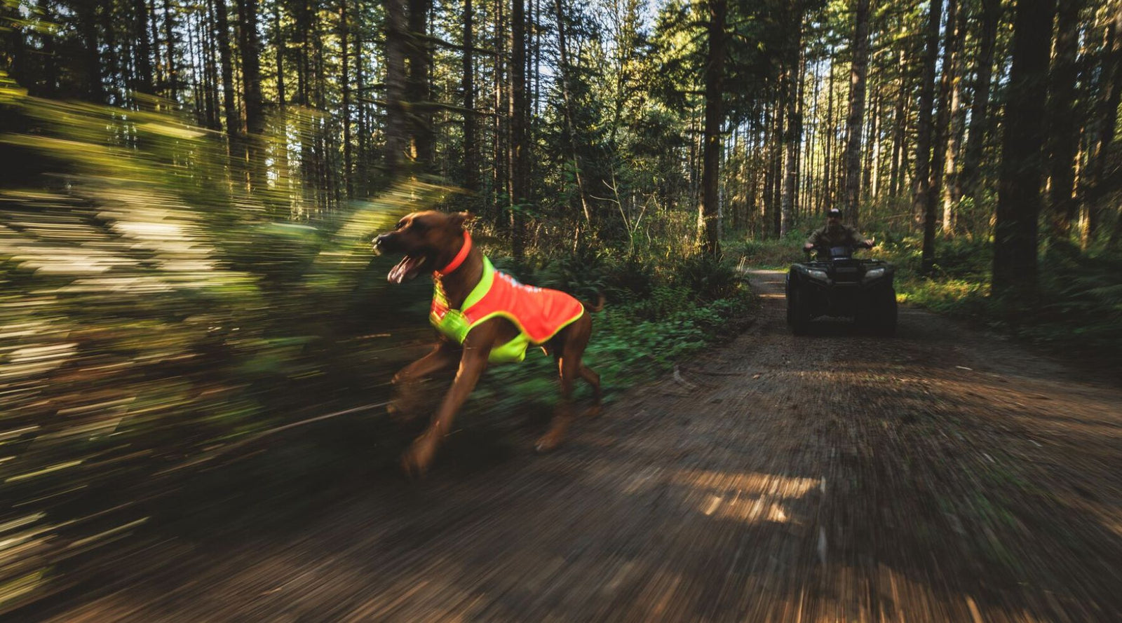 Hi-Vis & Reflective