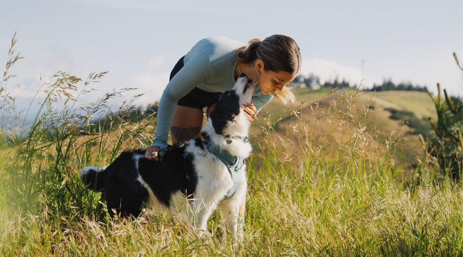 Ruffwear Front Range Collection