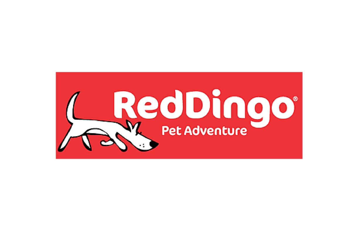 Red Dingo