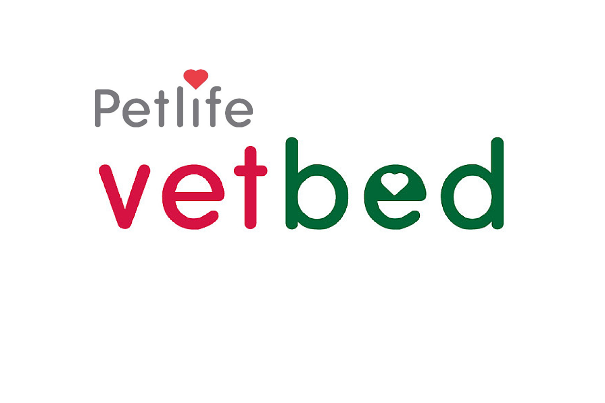 Vet Bed