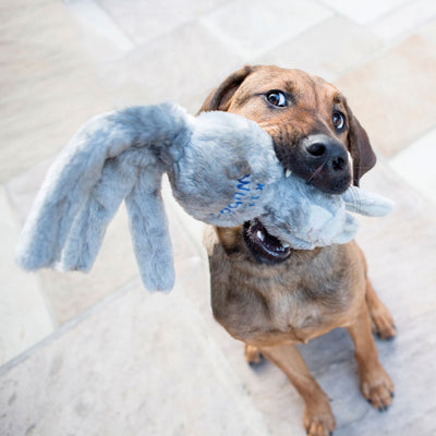 Kong Wubba Friends Dog Toy | Barks & Bunnies