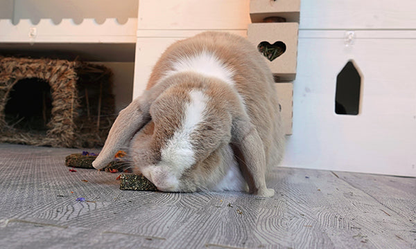 Rosewood Naturals Hemp Health Digestion | Barks & Bunnies