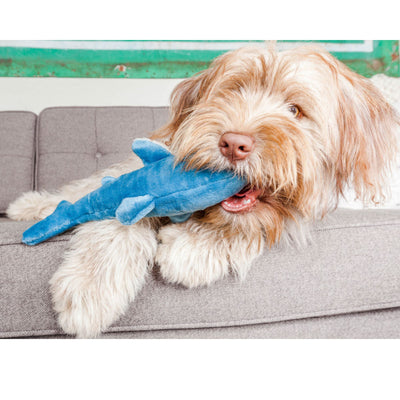 Fluff & Tuff Tank Shark, Durable Plush Dog Toys | Barks & Bunnies