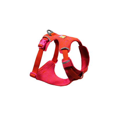Front Range Flex Harness