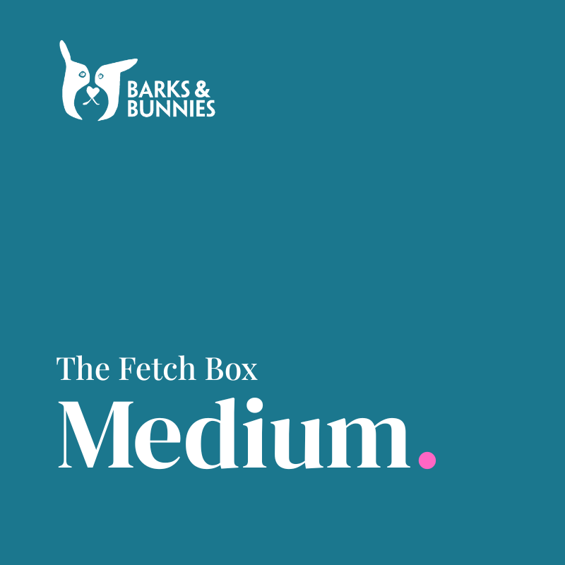 The Fetch Box · Medium Breed