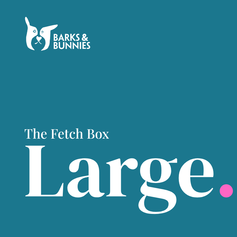 The Fetch Box · Large Breed