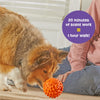 Brightkins Pufferfish Treat Dispenser Interactive Dog Toy | Barks & Bunnies