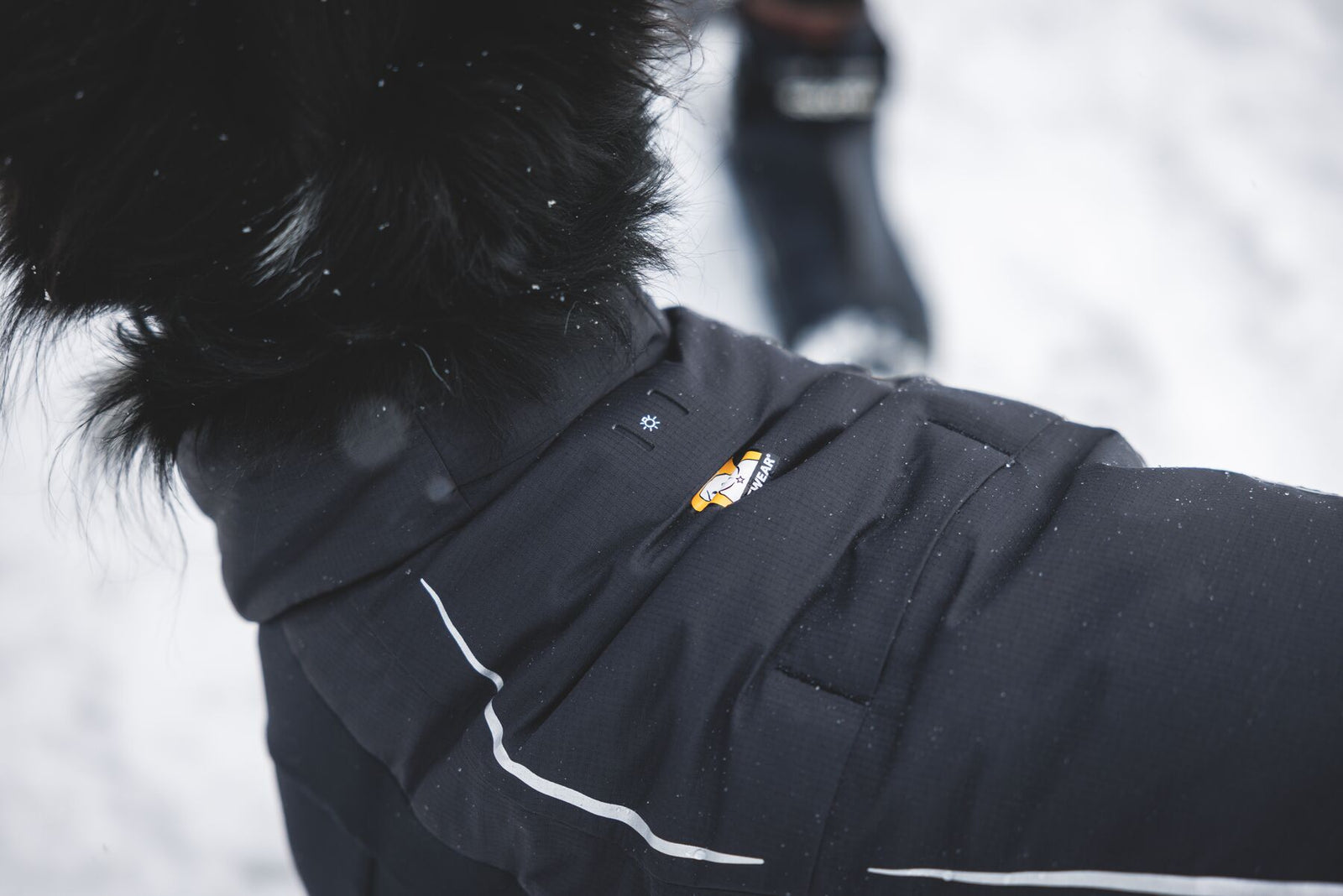 A black dog wearing the Ruffwear Powder Hound Coverall in Obsidian Black in falling snow - close-up of the shoulder and back panel showing the leash portal, reflective piping, and Ruffwear Beacon Light Loop.
