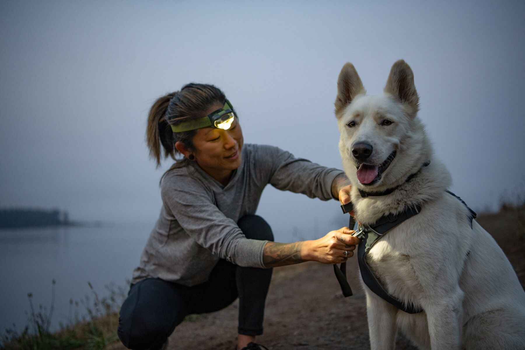 A woman kneeling to clip a Ruffwear Front Range Lead onto the chest attachment point of a Front Range Harness worn by a happy white Husky, at dusk by a lake with a head torch on