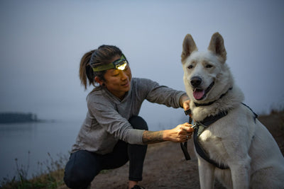 A woman kneeling to clip a Ruffwear Front Range Lead onto the chest attachment point of a Front Range Harness worn by a happy white Husky, at dusk by a lake with a head torch on