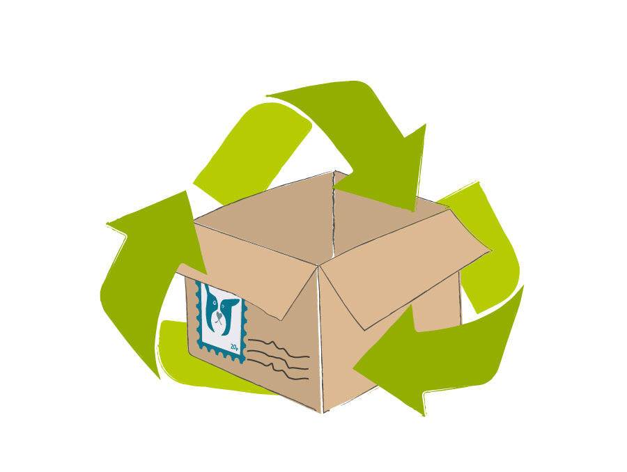 Paper or Plastic Packaging?