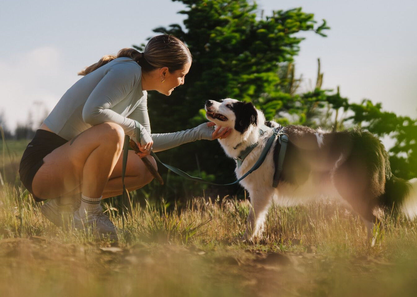 Woman crouching to fuss a happy black and white Border Collie wearing a Ruffwear Front Range Harness and Lead in River Rock Green, golden hour light in an open field