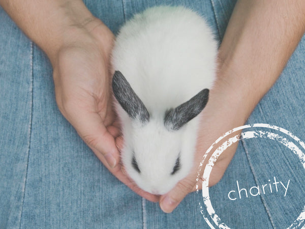 Caring For The Pet Community