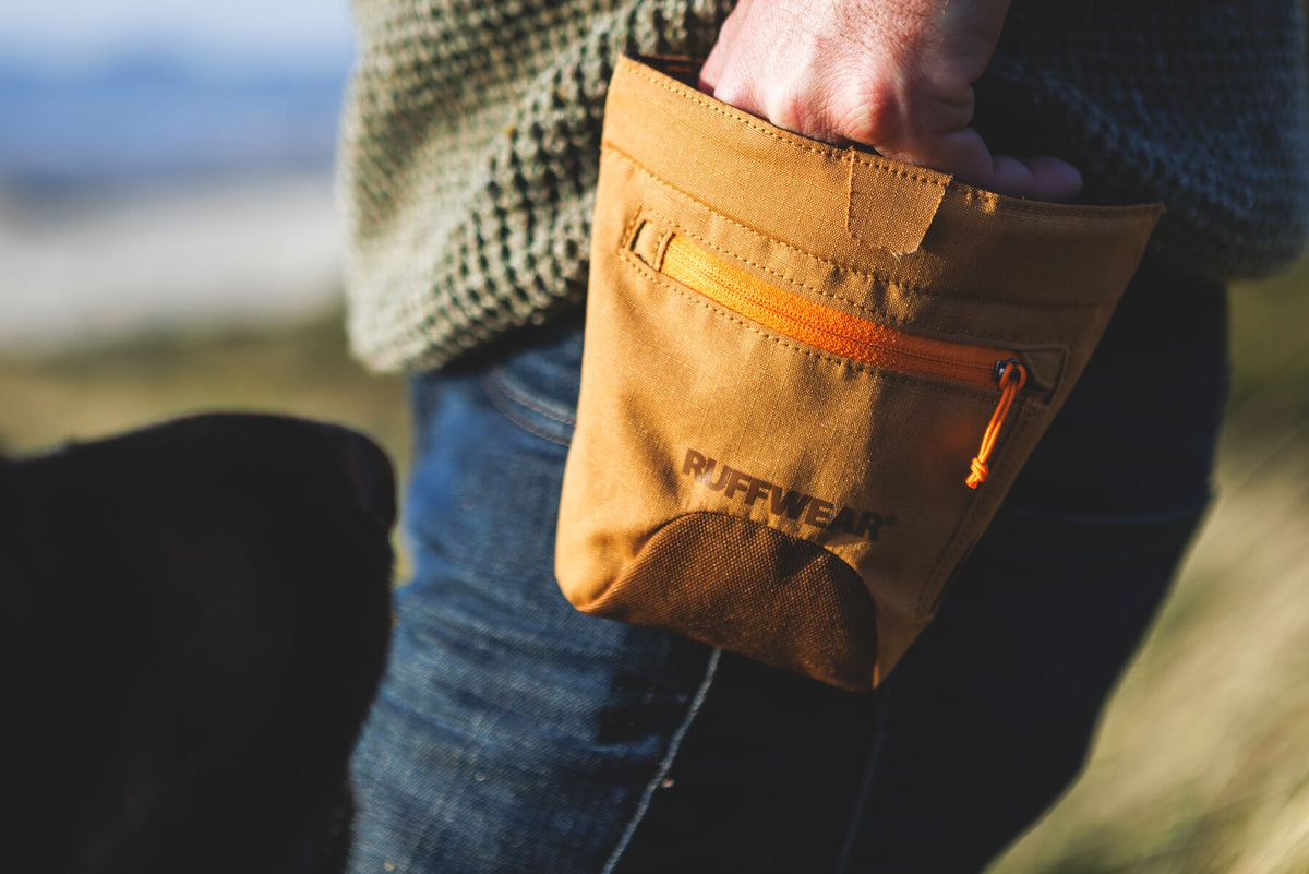 Close-up of the Ruffwear Treat Trader treat pouch in Brown Bear worn at the hip in golden outdoor light, showing the ripstop fabric texture, magnetic closure flap, orange zip pull on the outer pocket, Ruffwear logo, and dark mesh treat access opening, with a black dog and coastal landscape softly blurred behind