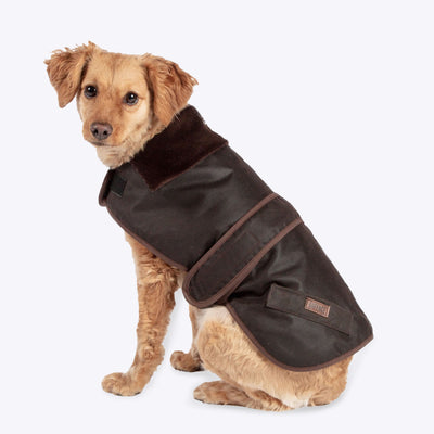 FatFace Sussex Waxed Dog Coat For Rain & Winter | Barks & Bunnies