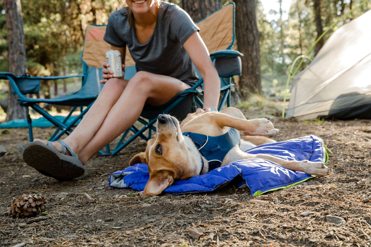 Dog rolling happily on the Ruffwear Highlands Dog Sleeping Bag at a forest campsite, owner relaxing in a camp chair nearby
