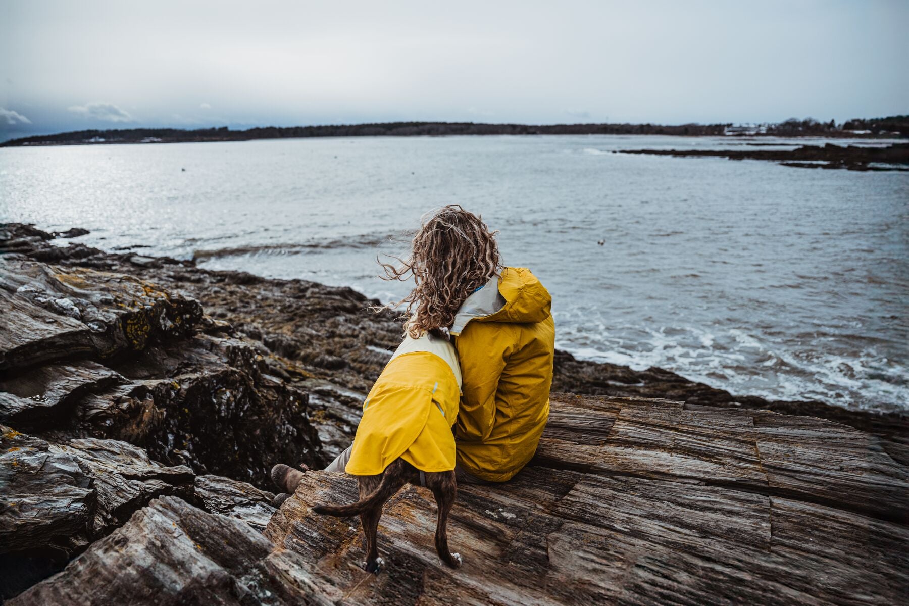 Dog wearing Ruffwear Sun Shower Jacket in Mineral Yellow on rocky coastal terrain