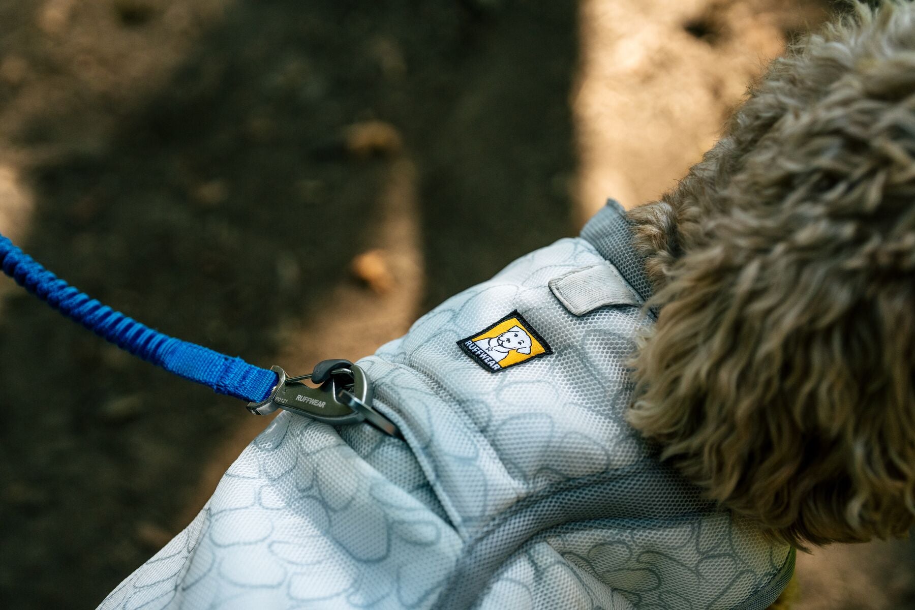 Dog wearing Ruffwear Swamp Cooler Vest on outdoor walk