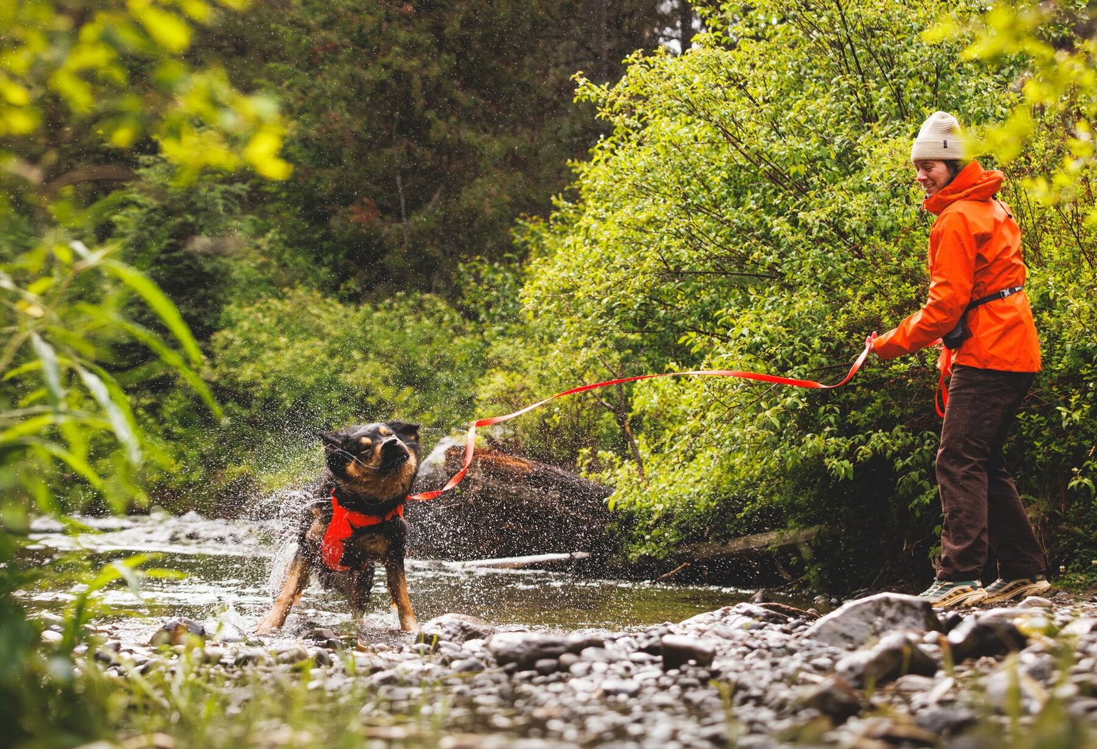 Dog wearing a Ruffwear harness in Blaze Orange shaking off water as it emerges from a rocky river, connected to the Rogue Long Line held by a person in an orange jacket standing on the riverbank surrounded by lush green forest