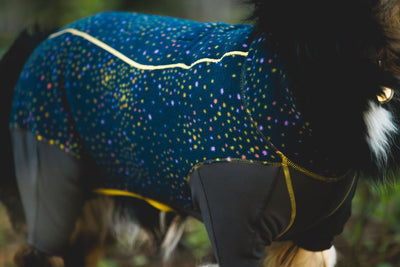 Dog wearing the Ruffwear Climate Changer Coverall in Galaxy colourway outdoors