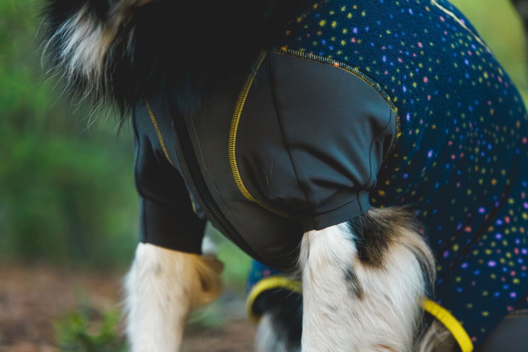 Dog wearing the Ruffwear Climate Changer Coverall, side view in natural light