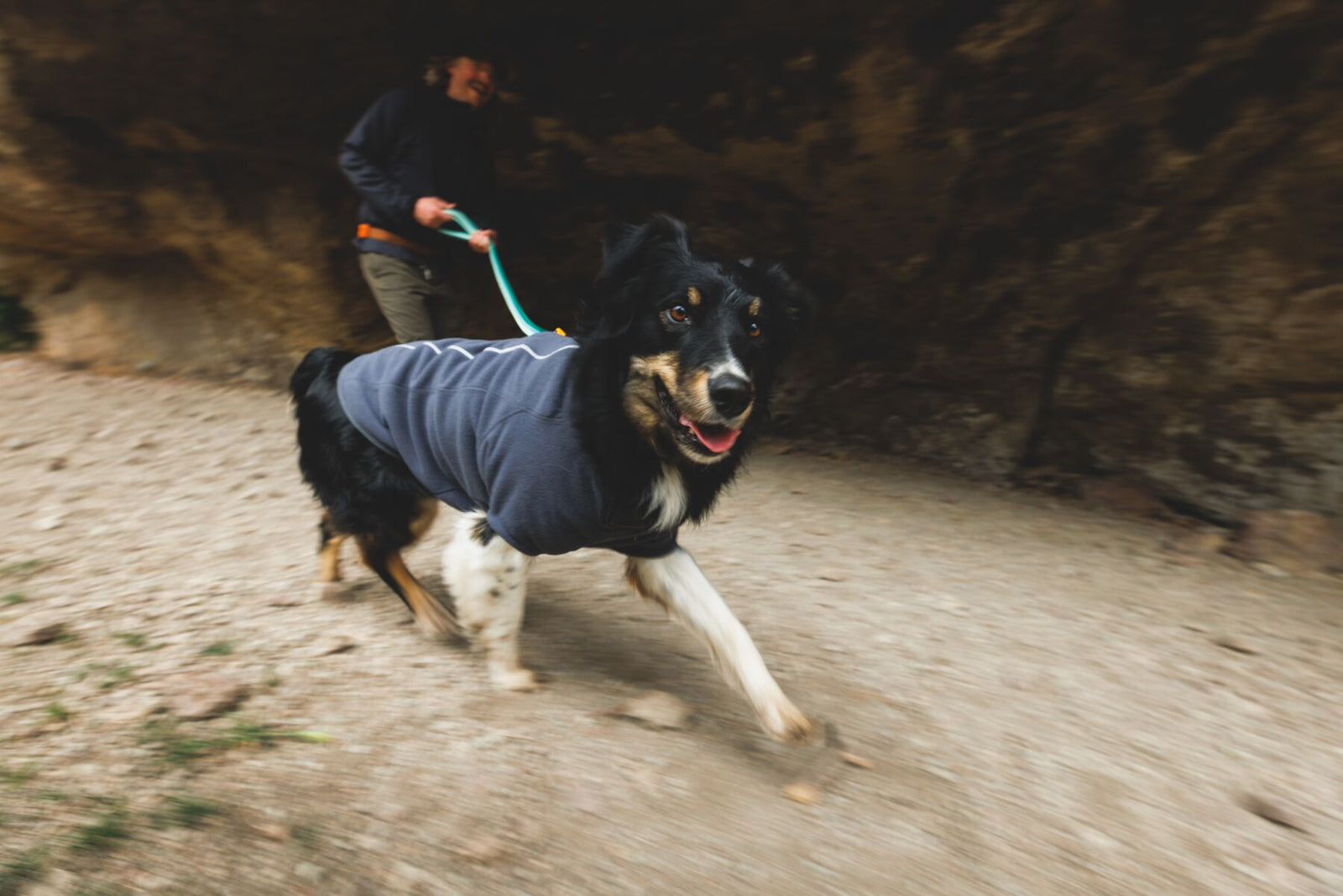 Dog wearing the Ruffwear Climate Changer Fleece Jacket outdoors, action shot