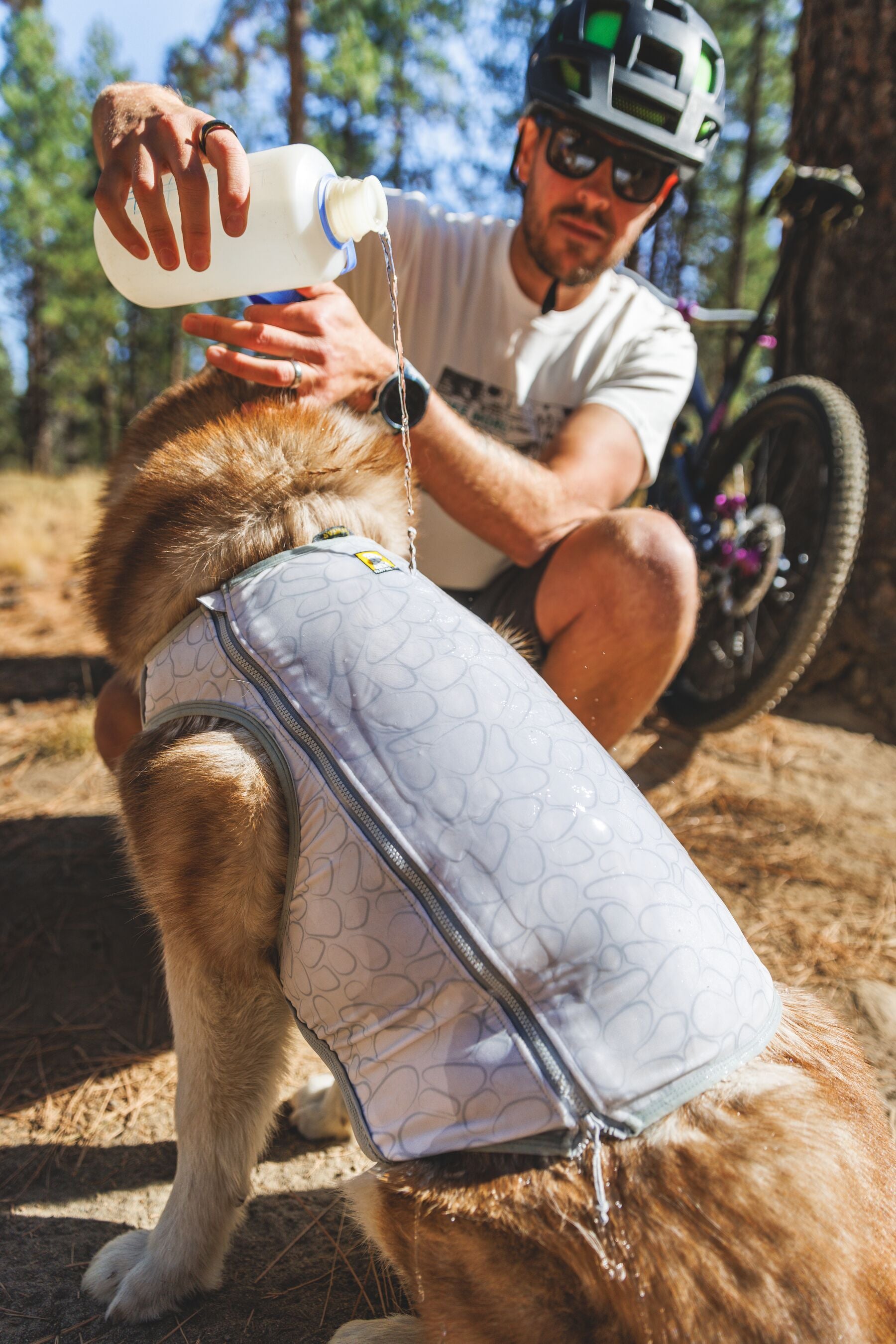 Dog wearing the Swamp Cooler Zip Vest outdoors with a person pouring water on it from a water bottle