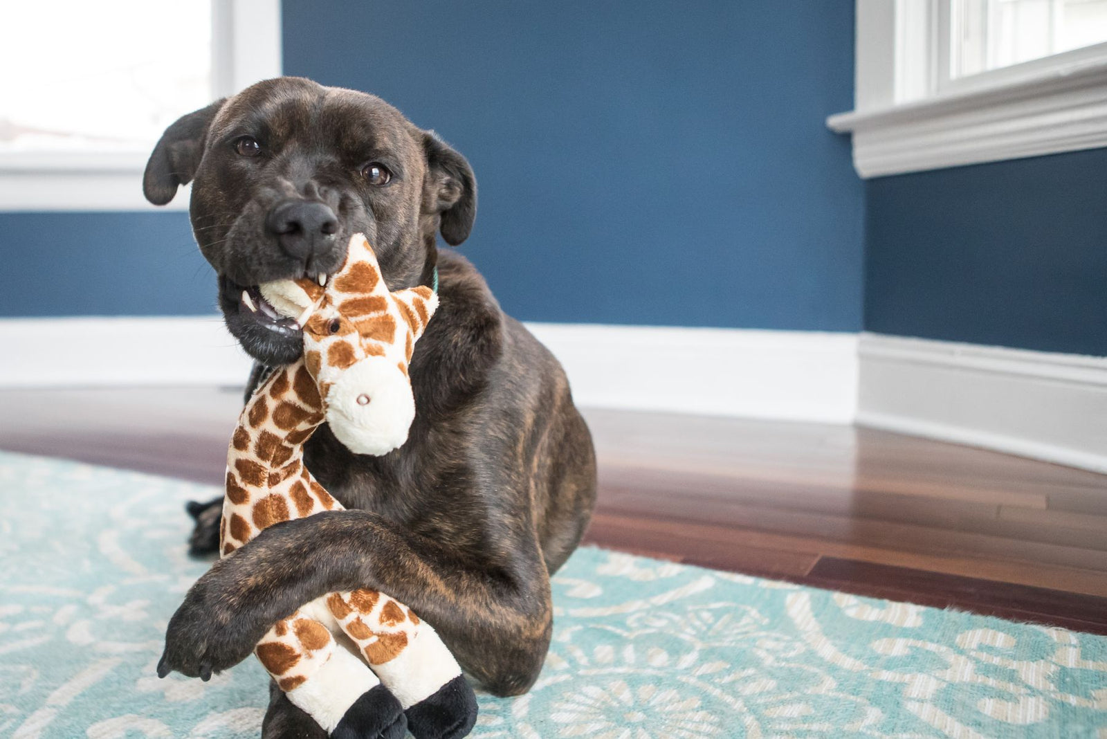 Fluff & Tuff Nelly Giraffe plush dog toy - cream and brown spotted giraffe with long neck and black hooves