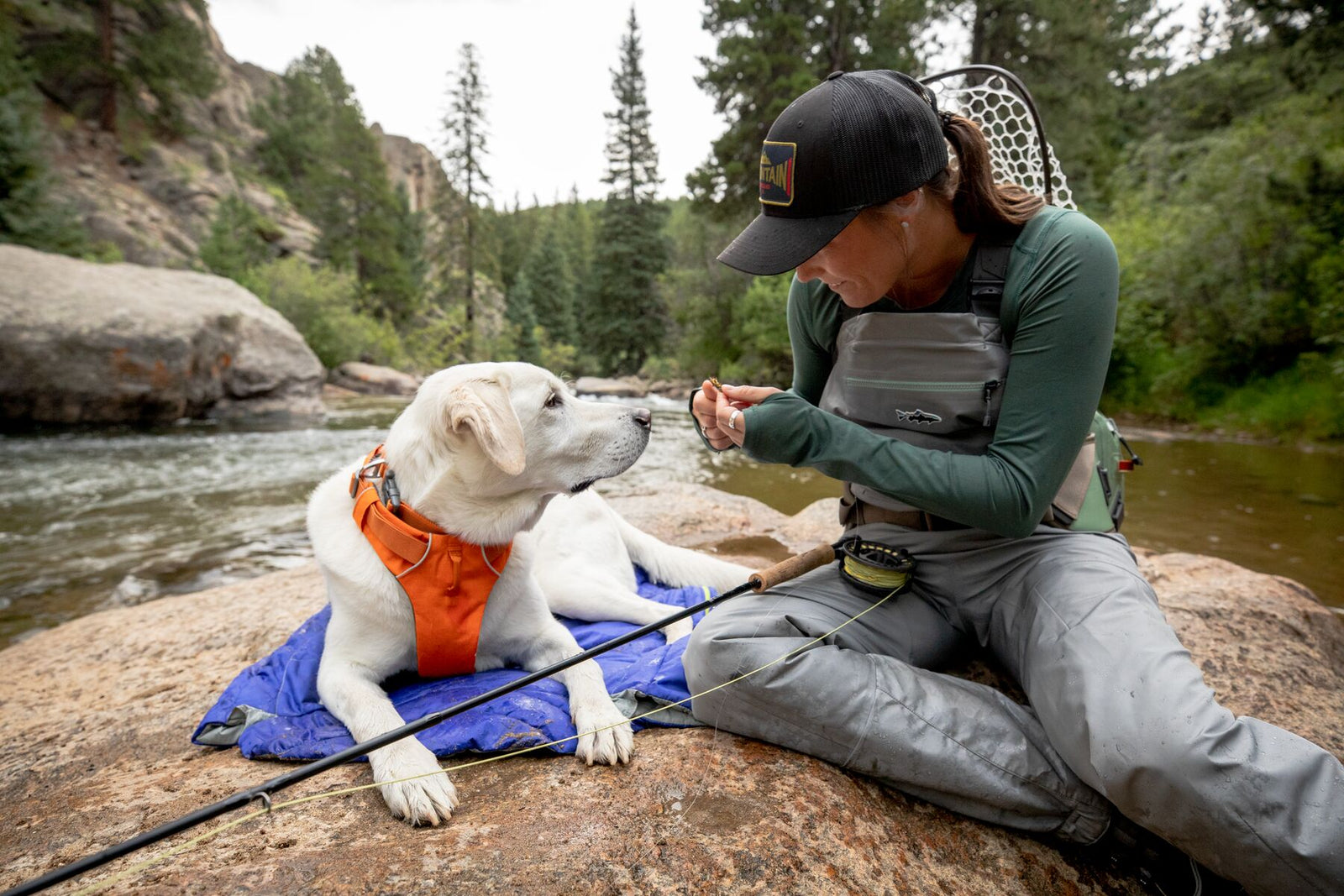 Dog resting on the Ruffwear Highlands Dog Sleeping Bag on a riverside rock during a fly fishing trip in Colorado