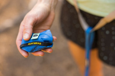 Person holding a Ruffwear Trail Runner Bowl in Blue Pool outdoors