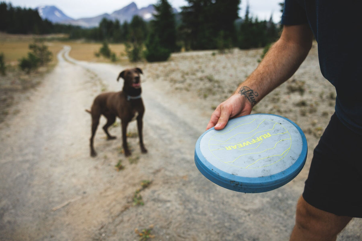 Person holding the Ruffwear Camp Flyer dog toy in Polar Blue on a mountain trail, chocolate Labrador standing ready in the background, pine trees and mountain peaks visible, outdoor dog toy for hiking and adventure