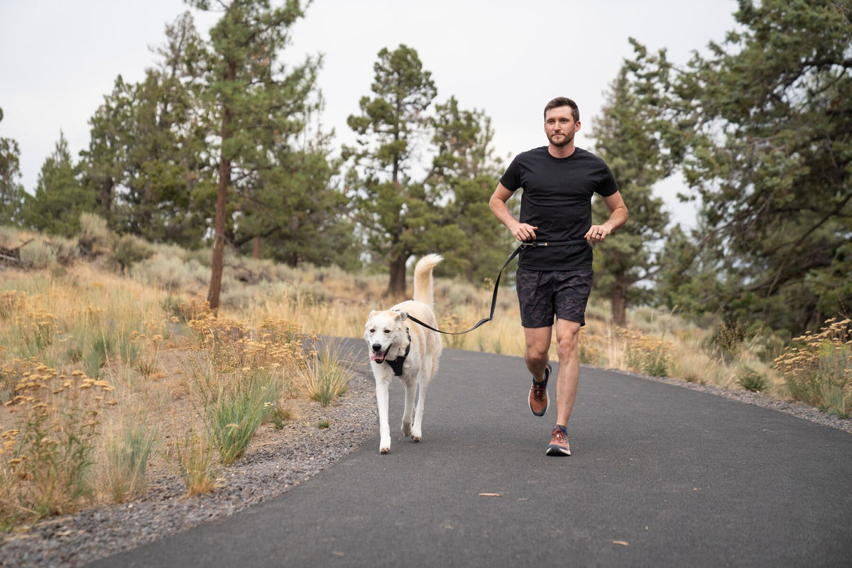 Person running with dog on trail using Ruffwear Switchbak Double-Ended Dog Lead hands-free