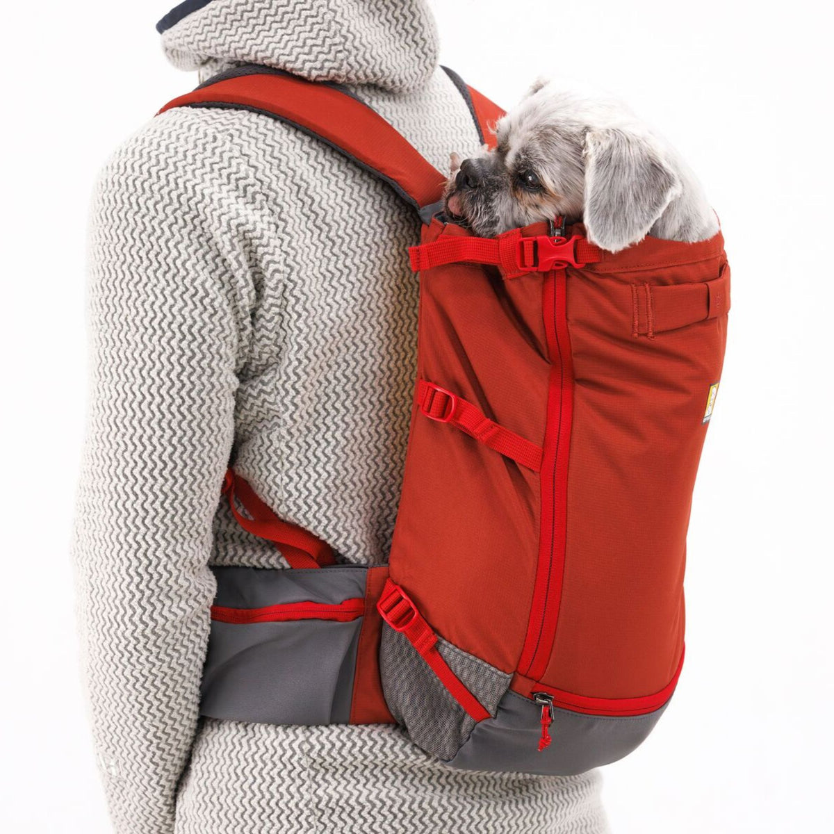Person wearing the Ruffwear Hitch Hiker dog backpack carrier in Red Clay on a white background, shown from the side rear, with a small grey dog secured inside and peering out over the top of the open pack, cinch straps and hip belt visible