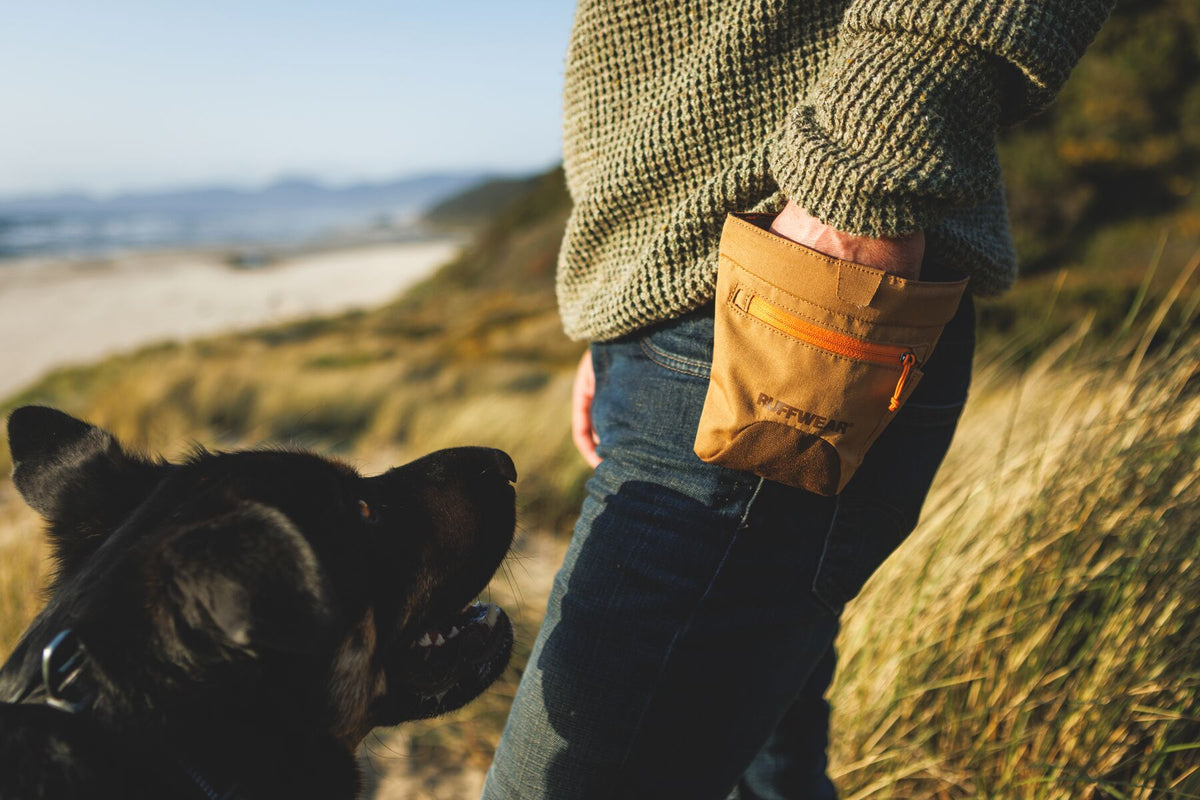 Person wearing the Ruffwear Treat Trader treat pouch in Brown Bear clipped to their waist, standing in coastal sand dunes in golden light with a black dog looking up attentively beside them, sea and pale blue sky in the background