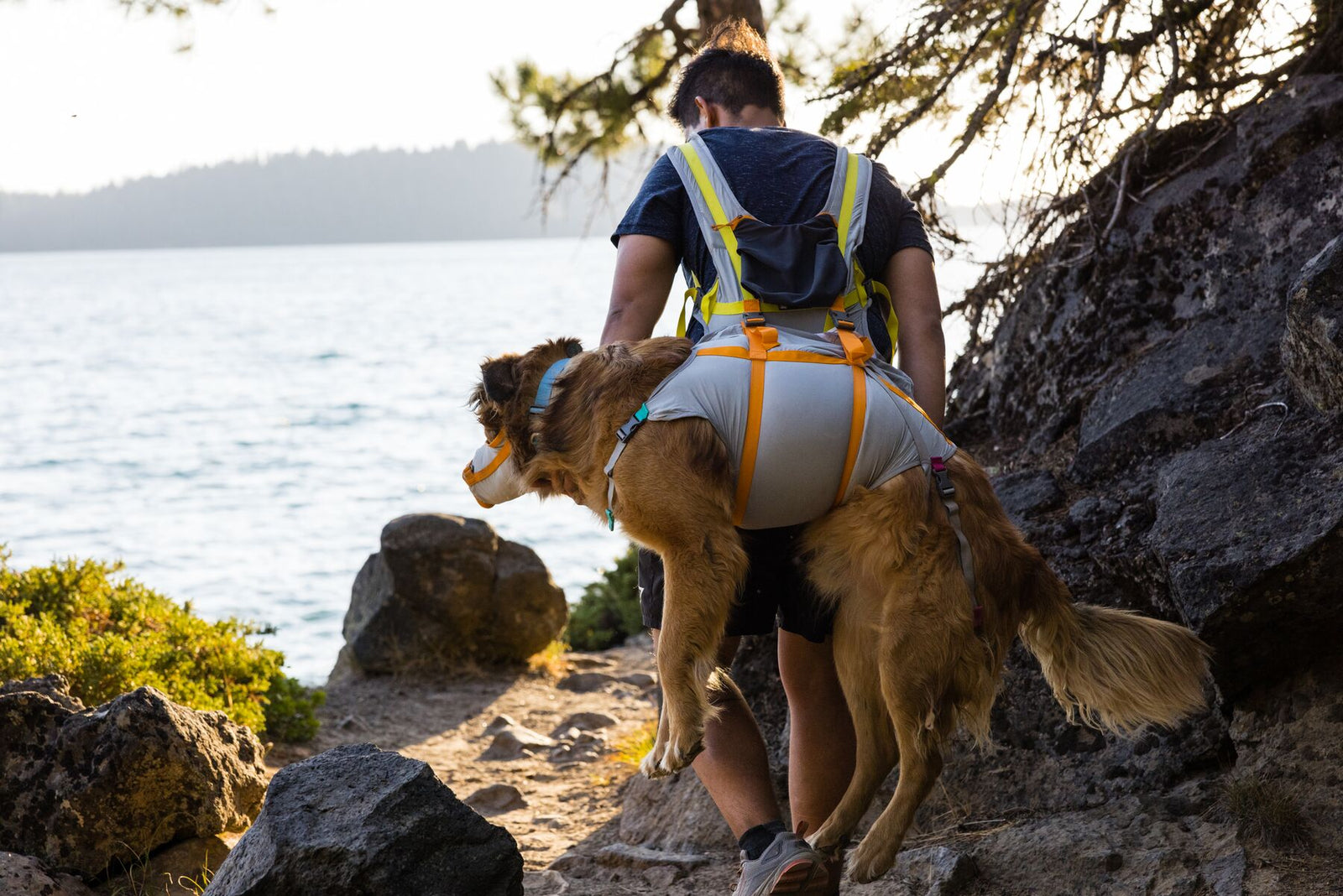 Hiker navigating rocky coastal terrain carrying a golden retriever on his back in the Ruffwear BackTrak dog carrying sling in Cloudburst Gray with orange straps, demonstrating the back carry position, dog wearing the BackTrak first-aid muzzle, turquoise lake and pine trees stretching into the distance