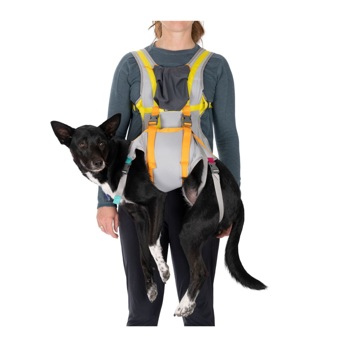 Woman carrying a black and white dog in the Ruffwear BackTrak human vest and dog carrying sling in Cloudburst Gray with yellow and orange colour-coded straps, front carry position, white background