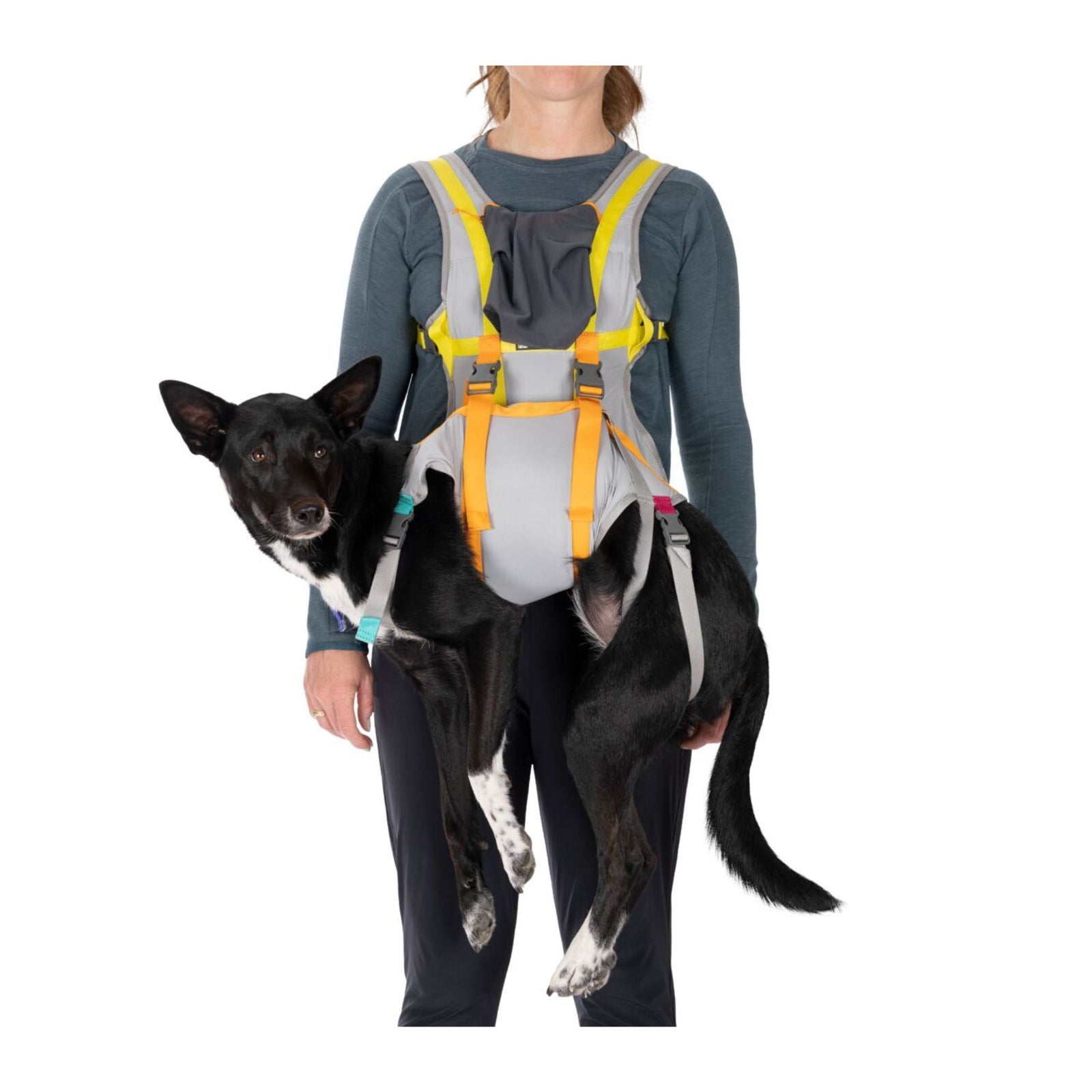 Woman carrying a black and white dog in the Ruffwear BackTrak human vest and dog carrying sling in Cloudburst Gray with yellow and orange colour-coded straps, front carry position, white background