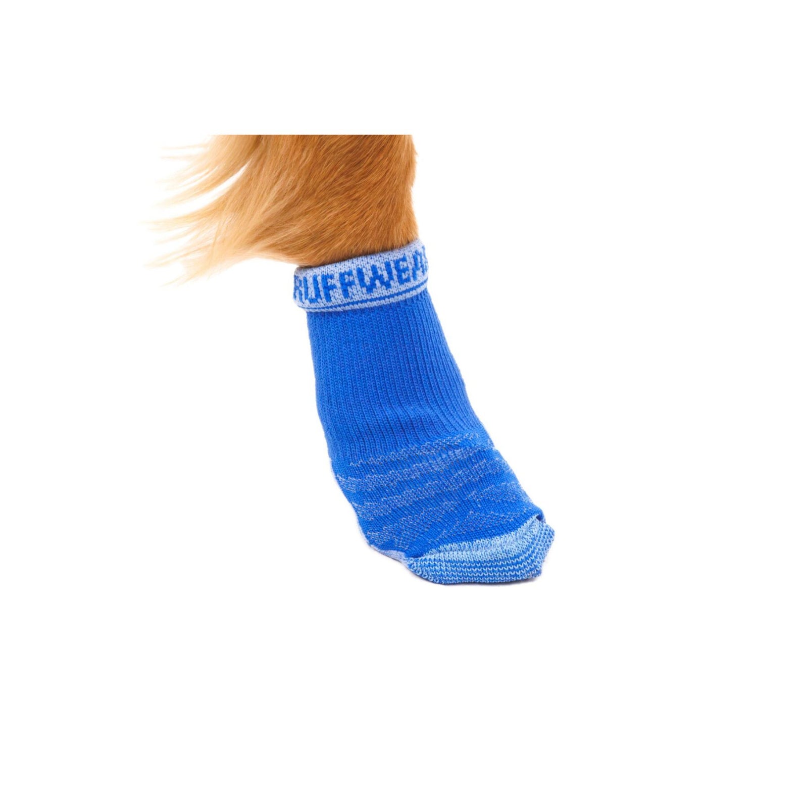 Close-up of a golden dog's paw wearing a Ruffwear Bark'n Boot Liner in Blue Pool on a white background, showing the blue knit body and white Ruffwear-branded tapered cuff