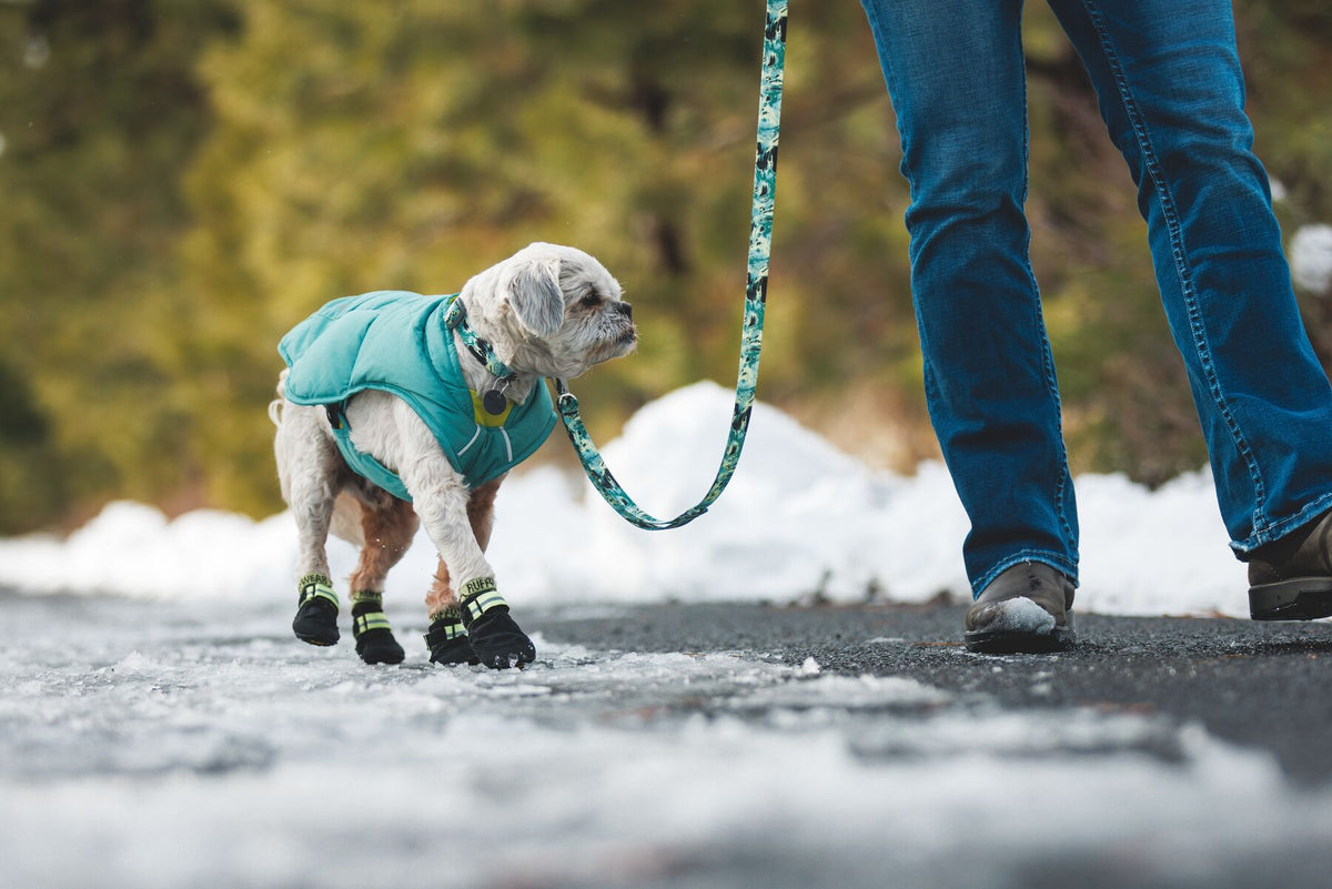 Small grey dog in a teal puffer jacket wearing Ruffwear Summit Trex boots in Obsidian Black and Bark n Boot Liners walking on an icy path alongside a handler in jeans, teal patterned lead, snow and trees in the background