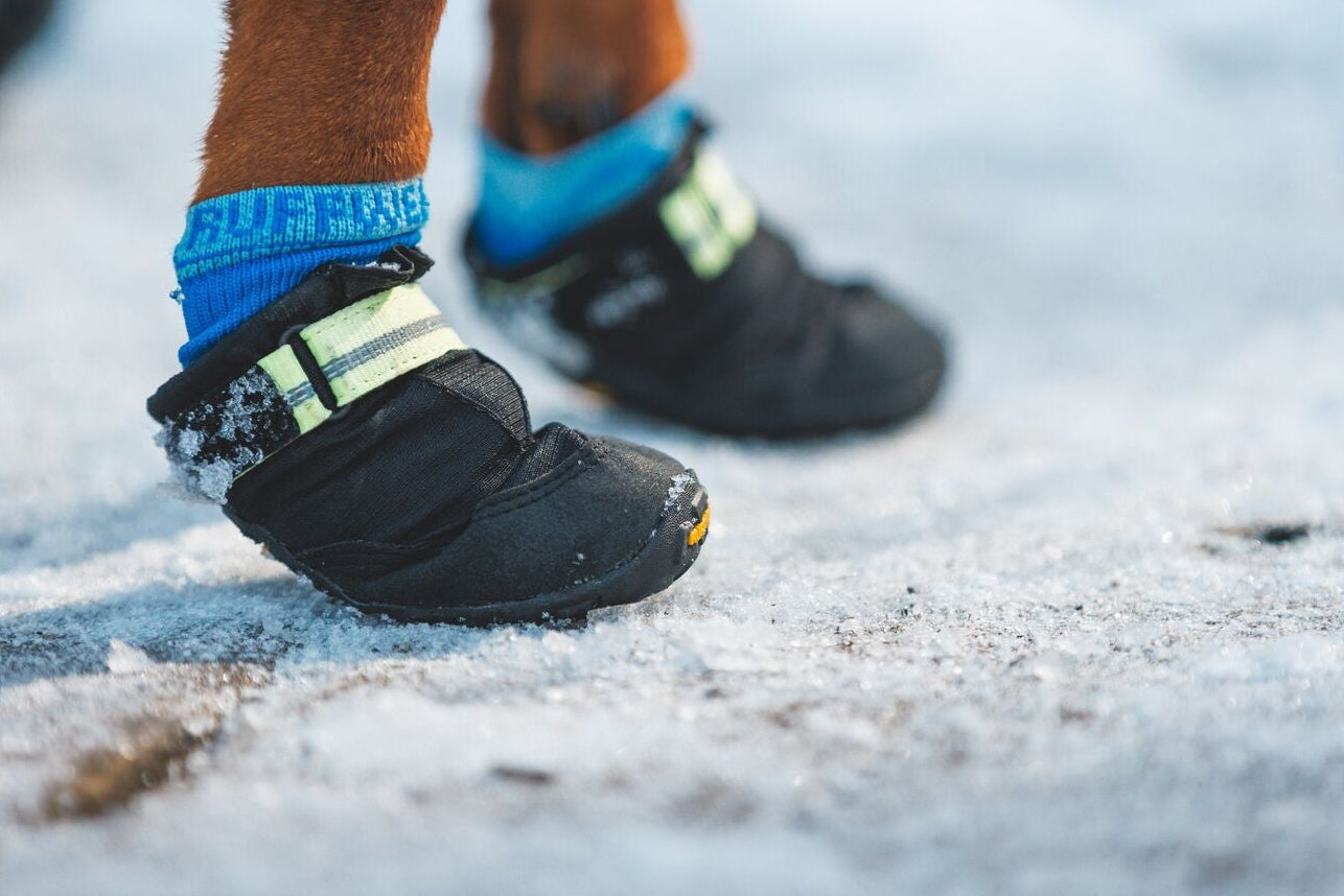 Close-up of a brown dog's front paws wearing Ruffwear Bark'n Boot™ Liners in Blue Pool visible above Ruffwear Summit Trex boots in Obsidian Black, walking on snow-covered ground