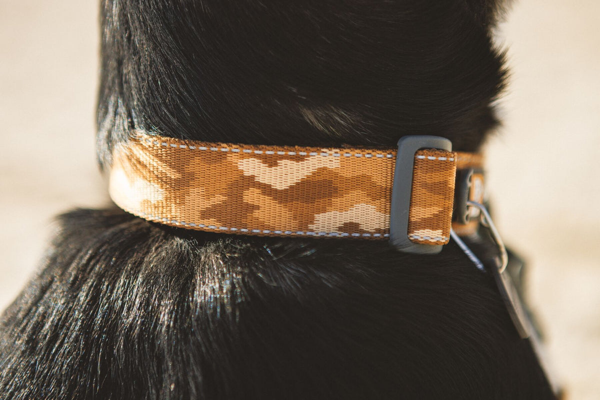 Ruffwear Crag Reflective Dog Collar in Desert Spice worn on a black dog - warm tan geometric camo pattern shown close up at the neck - Barks & Bunnies, UK Ruffwear stockist
