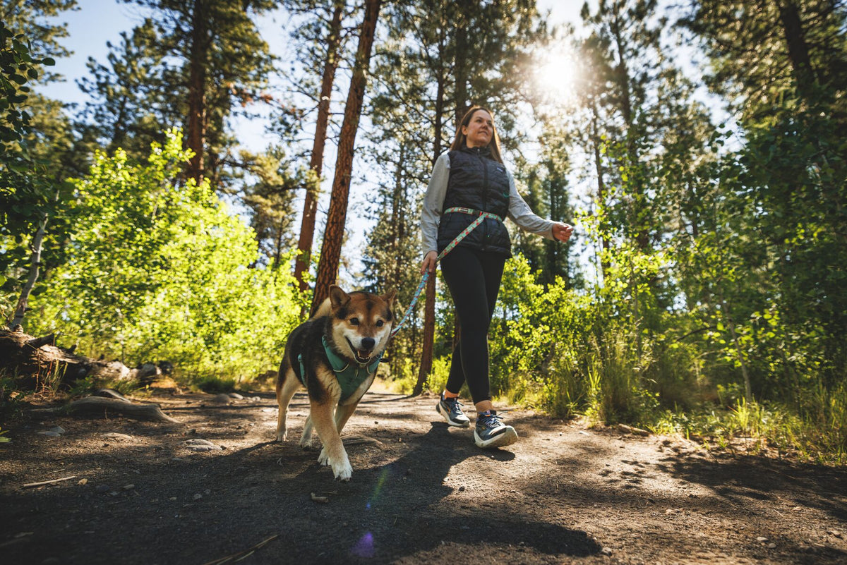 Ruffwear Crag Reflective Lead in Tropical Bloom - woman walking a Shiba Inu on a sunlit forest trail, lead worn hand-held with Ruffwear Front Range harness in River Rock Green