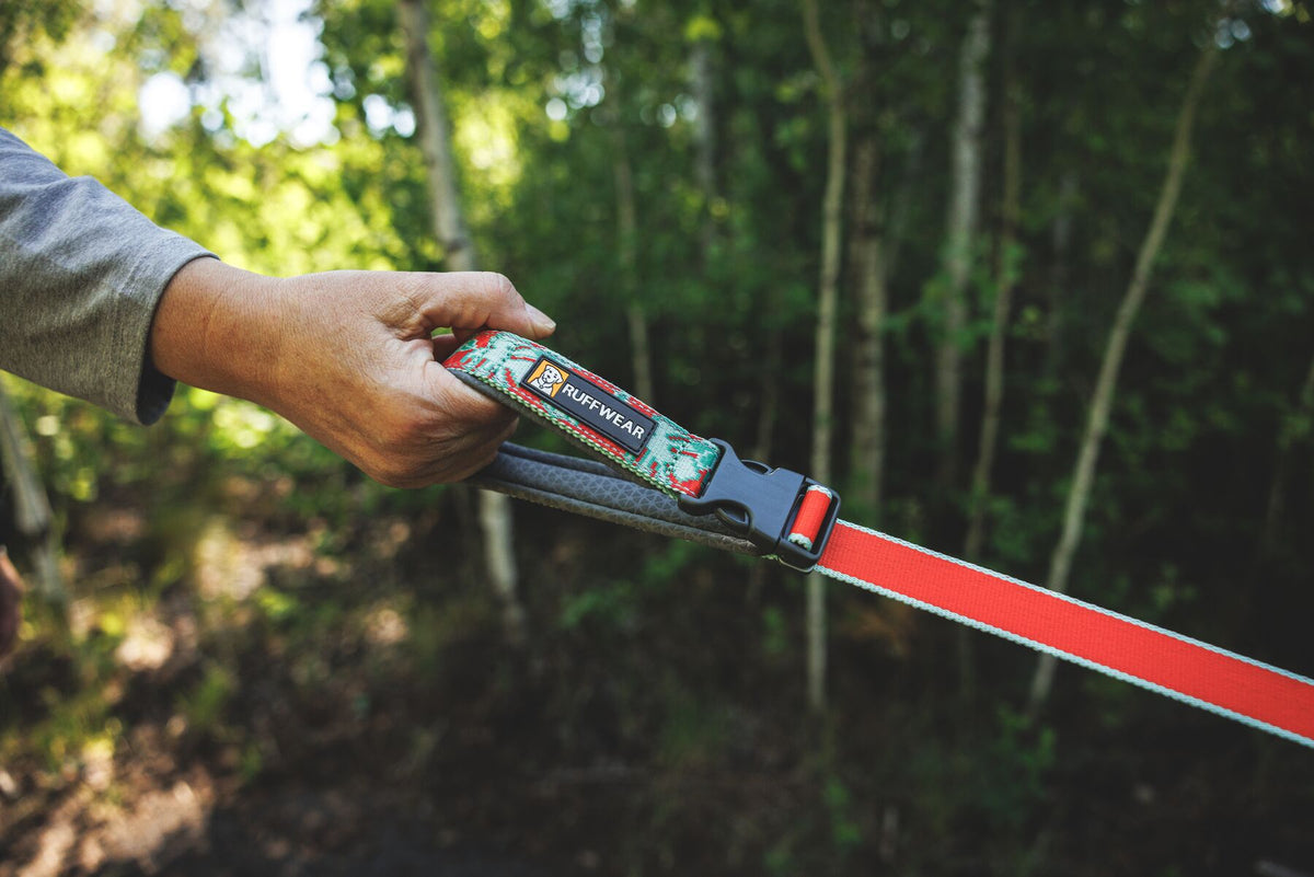 Ruffwear Crag Reflective Lead in Tropical Bloom - close-up of padded handle held in hand on a woodland trail, showing Ruffwear branding and floral Tubelok webbing