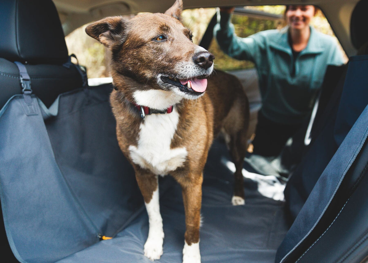 Happy brindle and white dog standing on the Ruffwear Dirtbag Seat Cover in Basalt Gray across the back seat of a car, tongue out, owner smiling in the background holding the car door open — the whole point of the product in one frame