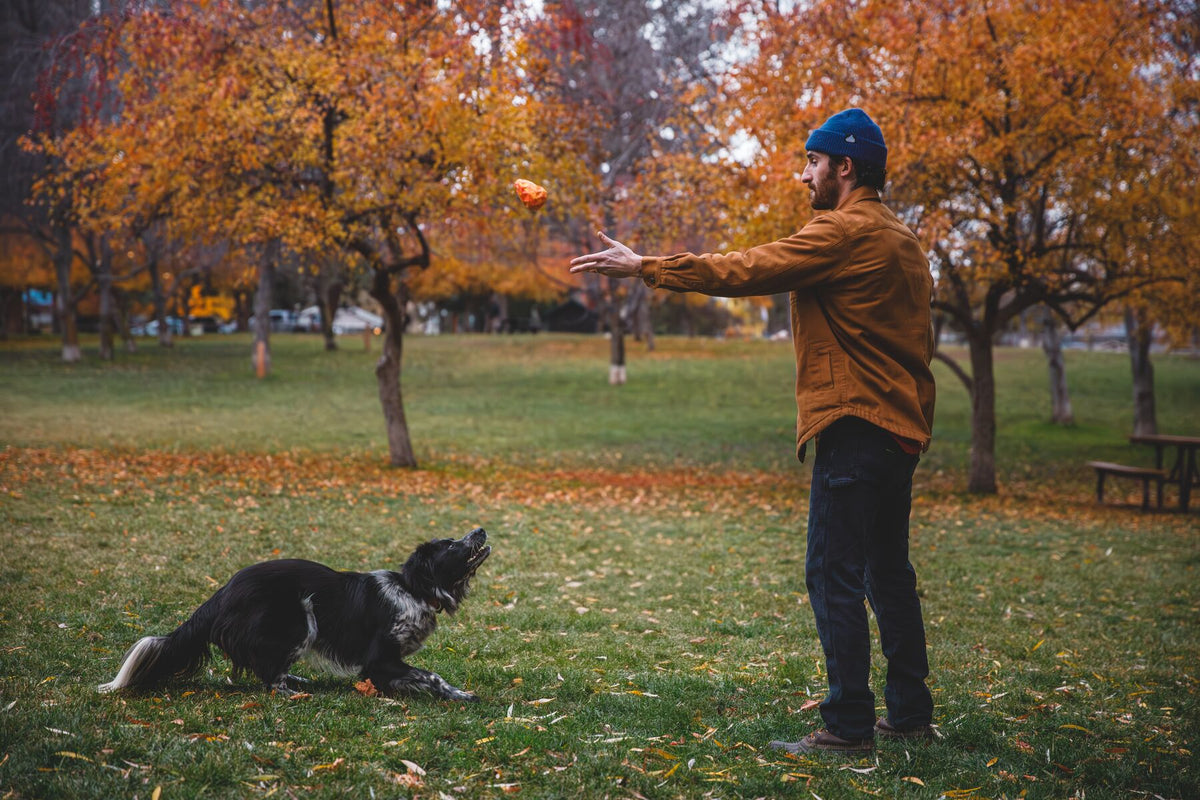 Man throwing the Ruffwear Gnawt-a-Cone toy in Salamander Orange for a border collie in an autumn park, golden trees in the background