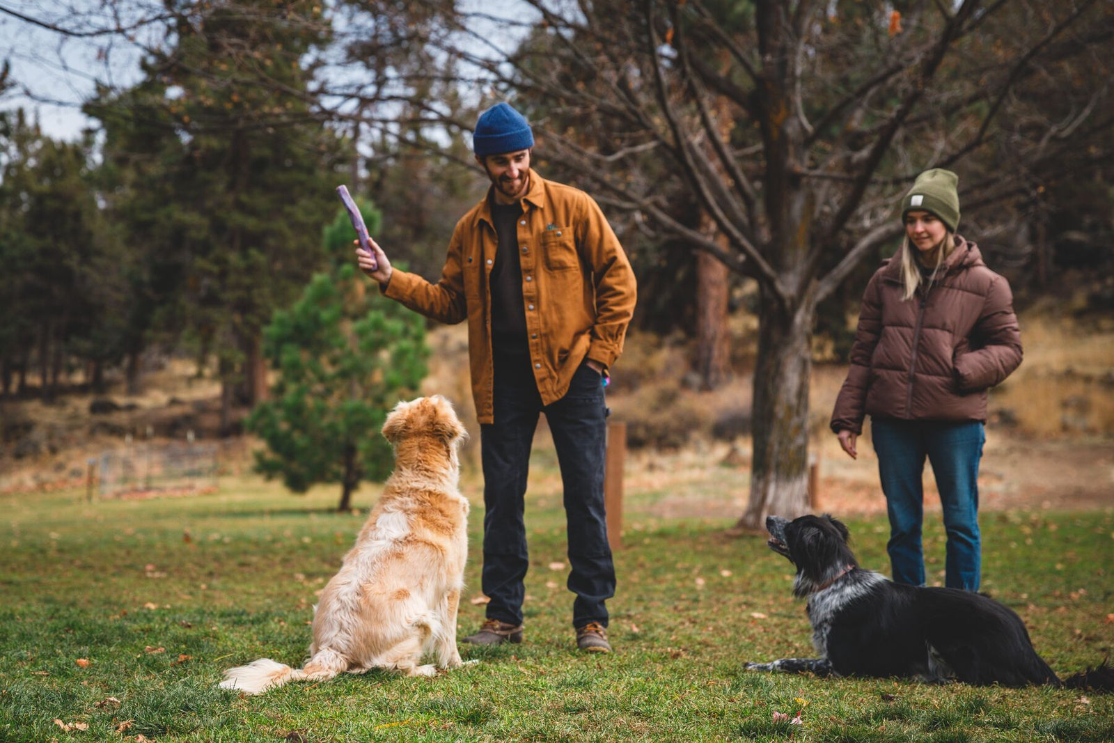 Man and woman with a golden retriever and a border collie in an autumn woodland park, man holding the Ruffwear Gnawt-a-Stick aloft as both dogs wait attentively