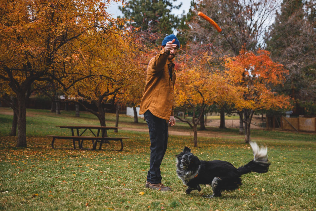 Man throwing the Ruffwear Gnawt-a-Stick in Salamander Orange for a border collie in an autumn park, golden and russet trees in the background