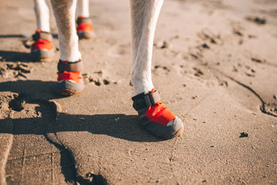 Ruffwear Grip Trex Dog Boots in Red Sumac on sandy terrain